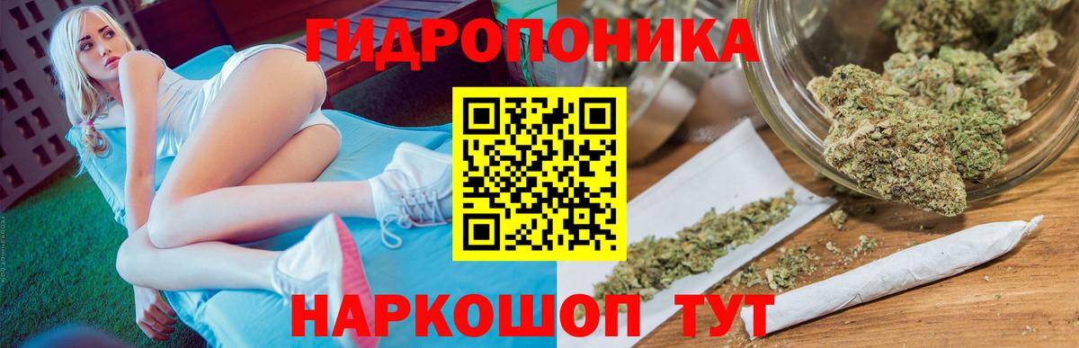 Бошки Шишки VHQ  МАРИХУАНА планчик  Вход с VPN  Димитровград  Конопля Ganja  МАРИХУАНА Ganja 